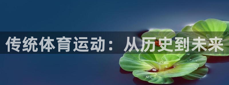 BTV体育台节目预告：传统体育运动：从历史到未来