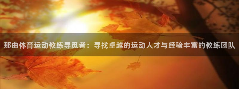 BTV体育频道直播入口：那曲体育运动教练寻觅者：寻找卓越的运动人才与经验丰富的教练团队