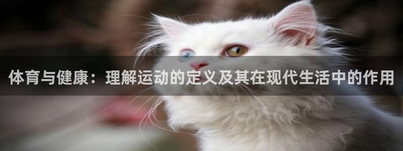 btv体育女主持人名单：体育与健康：理解运动的定义及其在现代生活中的作用