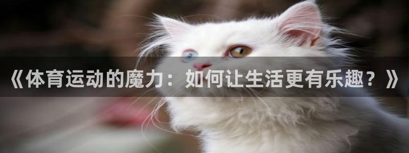 BTV体育CBA直播：《体育运动的魔力：如何让生活更有乐趣？》